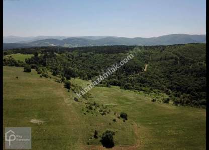 Bursa Nilüfer Çalıda Satılık Tarla 2