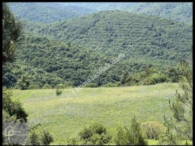 Bursa Nilüfer Çalıda Satılık Tarla 1