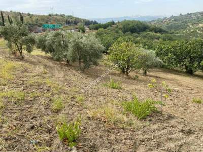 Osmangazi Çağlayan Mah Satılık 1340 M2 Bahçe Tarla 3