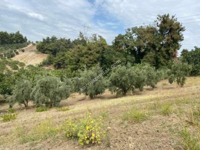 Osmangazi Çağlayan Mah Satılık 1340 M2 Bahçe Tarla 9