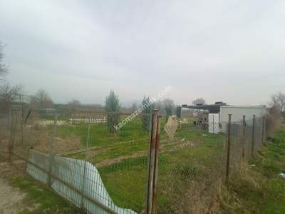 Osmangazi Demirtaş Cumhuriyet Mah Satılık Tarla Arazi 9