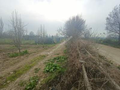 Osmangazi Demirtaş Cumhuriyet Mah Satılık Tarla Arazi 10