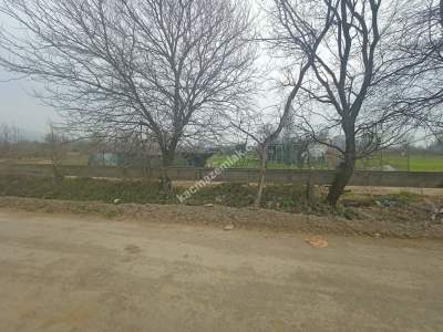 Osmangazi Demirtaş Cumhuriyet Mah Satılık Tarla Arazi 2