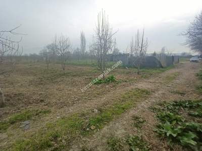 Osmangazi Demirtaş Cumhuriyet Mah Satılık Tarla Arazi 11