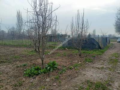 Osmangazi Demirtaş Cumhuriyet Mah Satılık Tarla Arazi 14