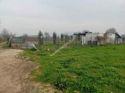 Osmangazi Demirtaş Cumhuriyet Mah Satılık Tarla Arazi 7