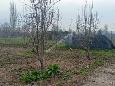 Osmangazi Demirtaş Cumhuriyet Mah Satılık Tarla Arazi 12