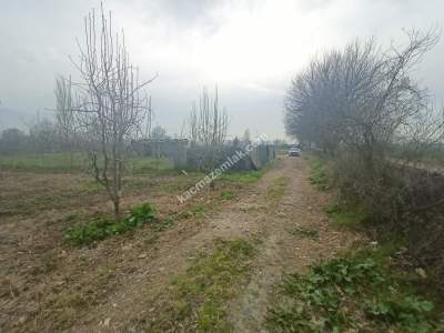 Osmangazi Demirtaş Cumhuriyet Mah Satılık Tarla Arazi 13