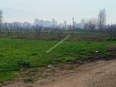 Osmangazi Demirtaş Cumhuriyet Mah Satılık Tarla Arazi 5