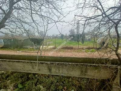 Osmangazi Demirtaş Cumhuriyet Mah Satılık Tarla Arazi 4