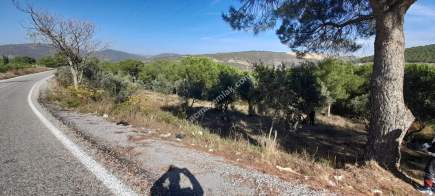 Demirtaş Mah.ismetiye Köy Tarla Satılık 3