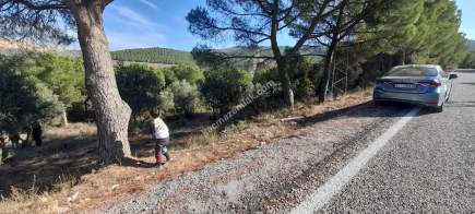 Demirtaş Mah.ismetiye Köy Tarla Satılık 11