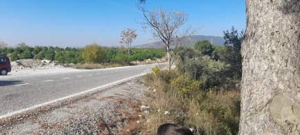 Demirtaş Mah.ismetiye Köy Tarla Satılık 6