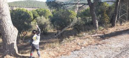 Demirtaş Mah.ismetiye Köy Tarla Satılık 10