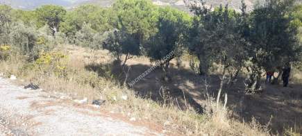 Demirtaş Mah.ismetiye Köy Tarla Satılık 8