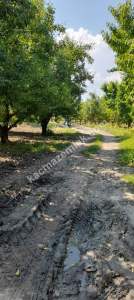 Demirtaş Mah.ismetiye Köy Tarla Satılık 20