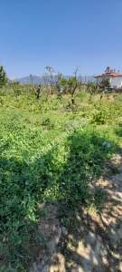 Demirtaş Mah.ismetiye Köy Tarla Satılık 4