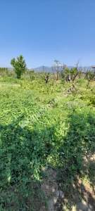 Demirtaş Mah.ismetiye Köy Tarla Satılık 2