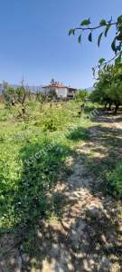 Demirtaş Mah.ismetiye Köy Tarla Satılık 21