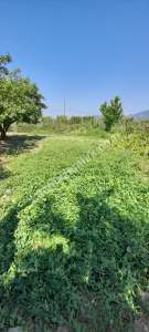 Demirtaş Mah.ismetiye Köy Tarla Satılık 1