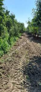 Demirtaş Mah.ismetiye Köy Tarla Satılık 17