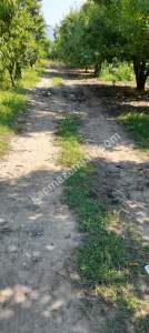 Demirtaş Mah.ismetiye Köy Tarla Satılık 10