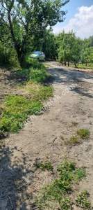 Demirtaş Mah.ismetiye Köy Tarla Satılık 11