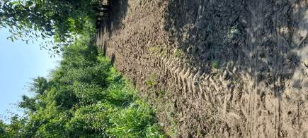 Demirtaş Mah.ismetiye Köy Tarla Satılık 18