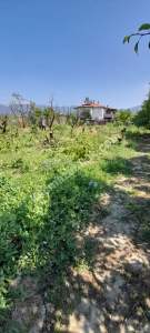 Demirtaş Mah.ismetiye Köy Tarla Satılık 3