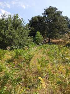 Osmangazi Gökçeörende Satılık Arsa 18