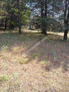 Osmangazi Gökçeörende Satılık Arsa 24