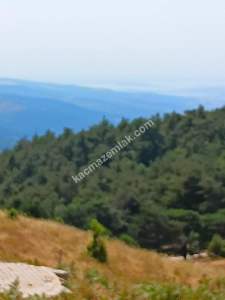 Osmangazi Gökçeörende Satılık Arsa 9