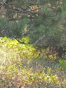 Osmangazi Gökçeörende Satılık Arsa 26