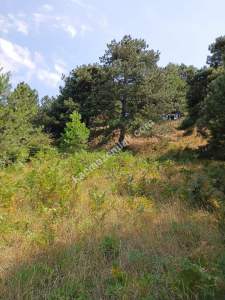 Osmangazi Gökçeörende Satılık Arsa 20