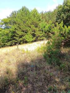 Osmangazi Gökçeörende Satılık Arsa 33