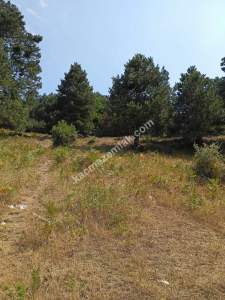 Osmangazi Gökçeörende Satılık Arsa 19