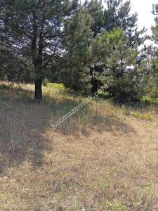 Osmangazi Gökçeörende Satılık Arsa 22