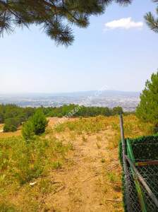 Osmangazi Gökçeörende Satılık Arsa 16