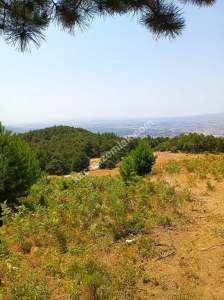 Osmangazi Gökçeörende Satılık Arsa 23