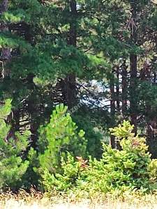 Osmangazi Gökçeörende Satılık Arsa 28