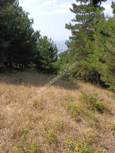 Osmangazi Gökçeörende Satılık Arsa 25