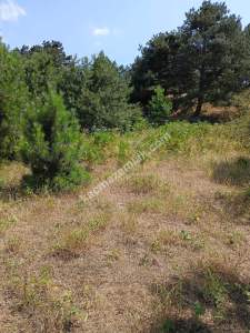 Osmangazi Gökçeörende Satılık Arsa 31