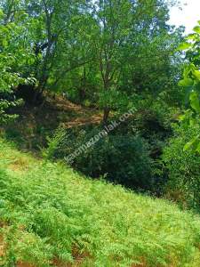 Osmangazi Gökceörende Satılık Arsa 14