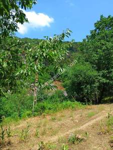 Osmangazi Gökceörende Satılık Arsa 10