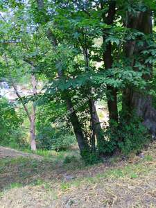 Osmangazi Gökceörende Satılık Arsa 3