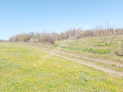 Osmangazi Seç Köy Mah Satılık Kelepir Tarla Arazi 1