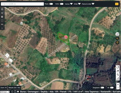 Bursa Osmangazi Seçköy Satılık 1441 M2 Tarla Resmi Yol 3