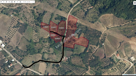 Bursa Osmangazi Seçköy Satılık 1441 M2 Tarla Resmi Yol 4