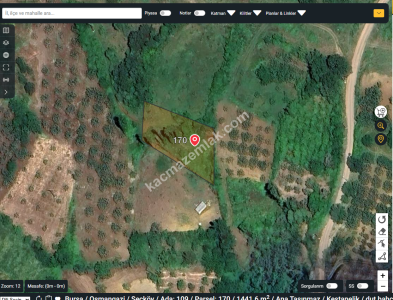 Bursa Osmangazi Seçköy Satılık 1441 M2 Tarla Resmi Yol 1