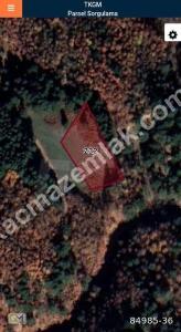 Osmangazi Tuzaklı Mh Satılık Orman İçinde Tarla 6